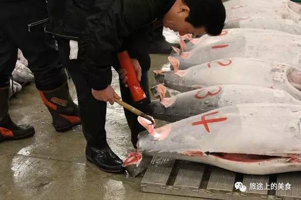 这里每天会拍出上千条的金枪鱼开元棋牌网站日本料理心脏(图2) 这里每天会拍出上千条的金枪鱼开元棋牌网站日本料理心脏(图2)