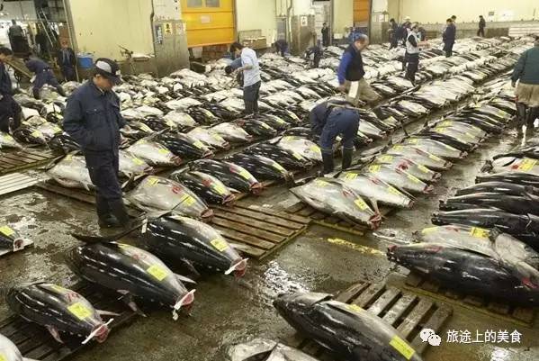 这里每天会拍出上千条的金枪鱼开元棋牌网站日本料理心脏(图5)